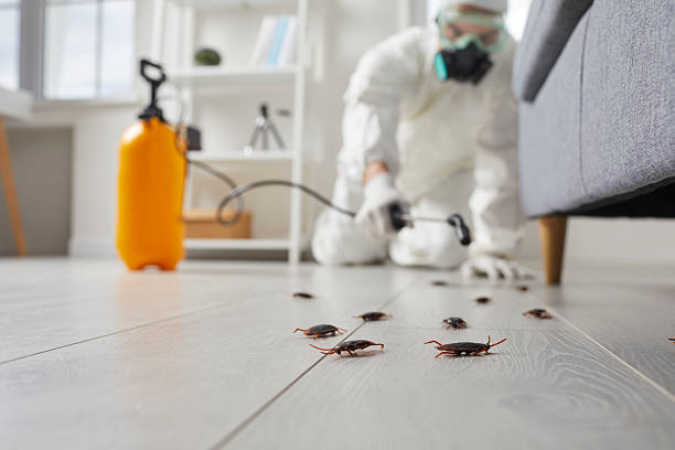 Trusted Cockroach Control service in Swartzville, PA - Nex Pest Control