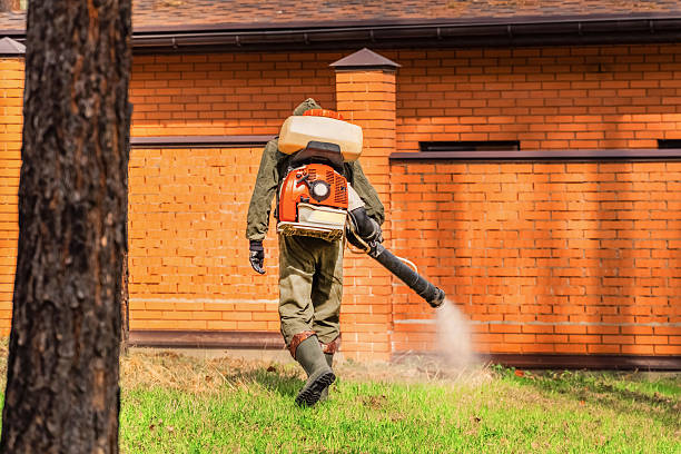 Trusted Rodent Control service in Swartzville, PA - Nex Pest Control